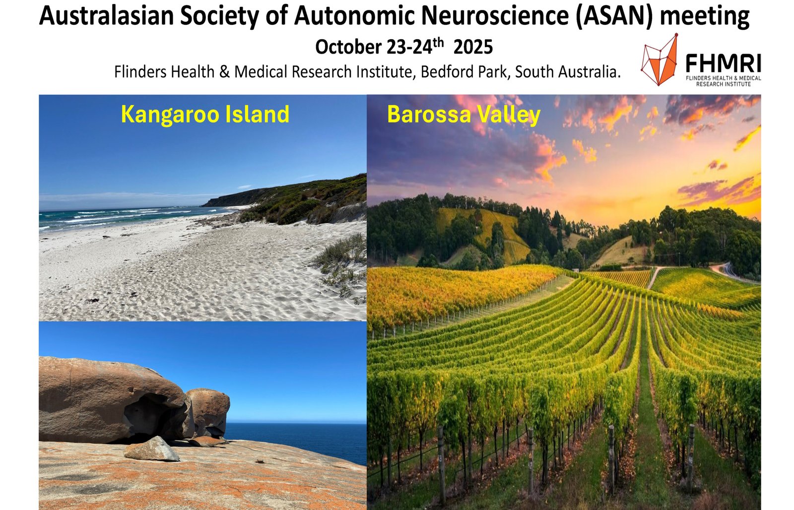ASAN 2025 meeting logo